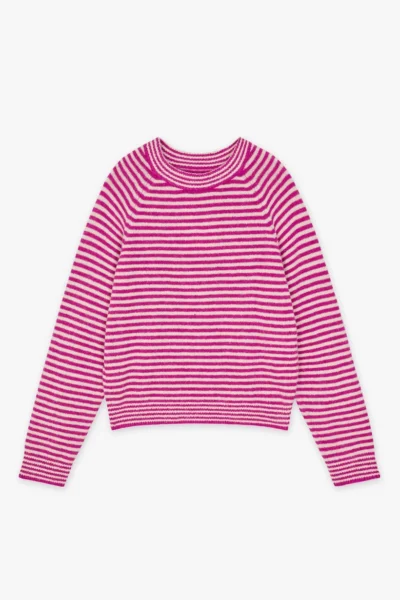 Jersey Preludio CKS Fashion